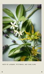 shampure™ vegan soy wax candle